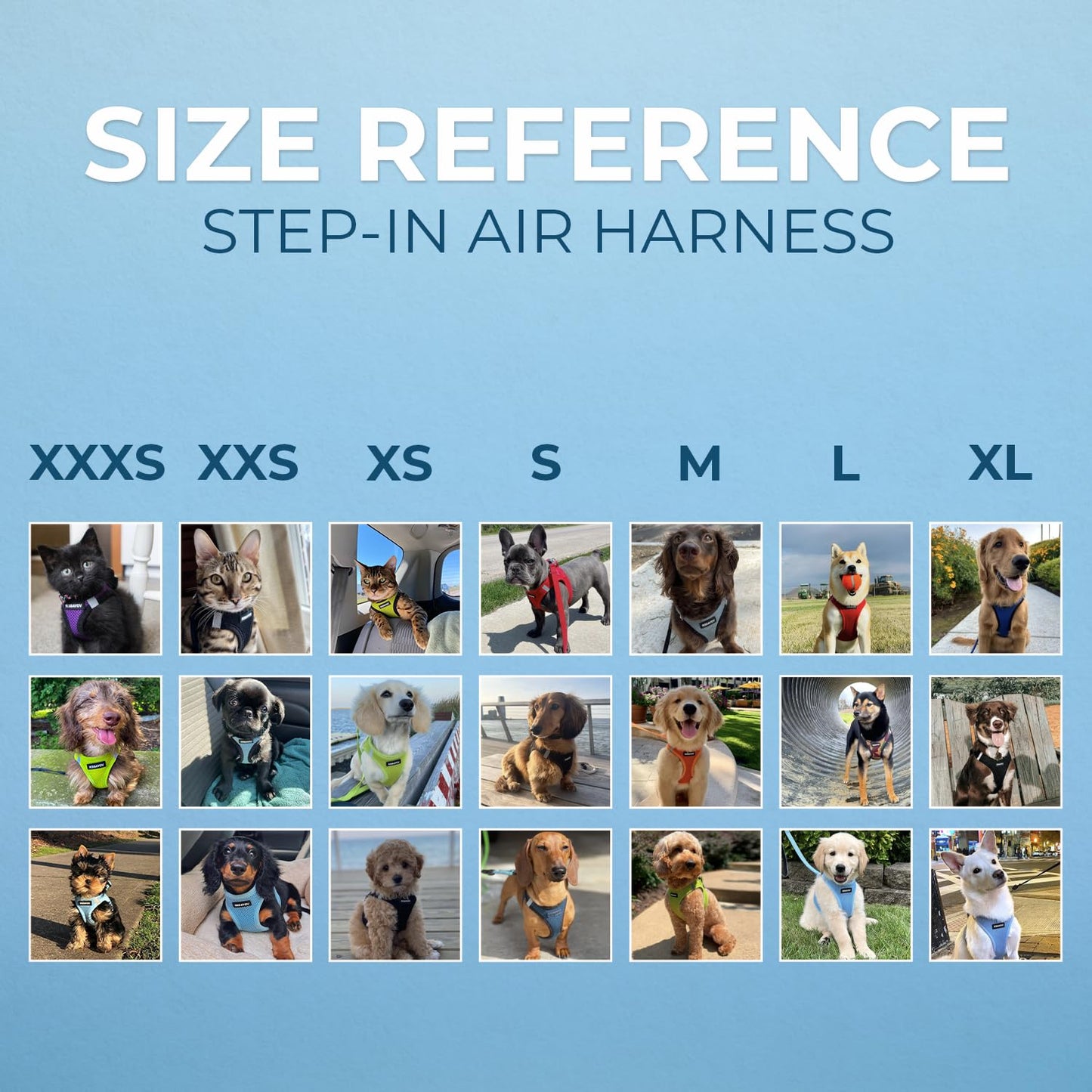 Best Pet Supplies - All Weather Mesh, Reflective, No Pull Harness for Small, Medium Dogs, Cats - Secure with Hook & Loop Fastener, Buckle, Double D-Rings - Baby Blue, S