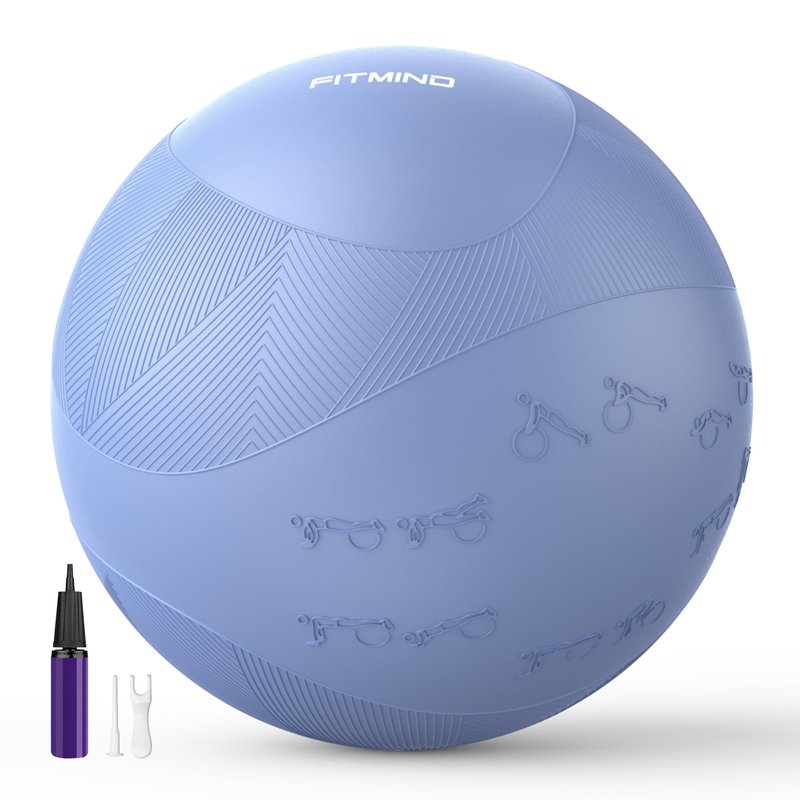 FITMIND Extra Thick Yoga Ball with Training Instruction, Anti-Burst Slip Resistant Exercise Ball with Pump for Pilates,Physical Therapy,Pregnancy Stability,Birthing Ball 22in 26in 30in