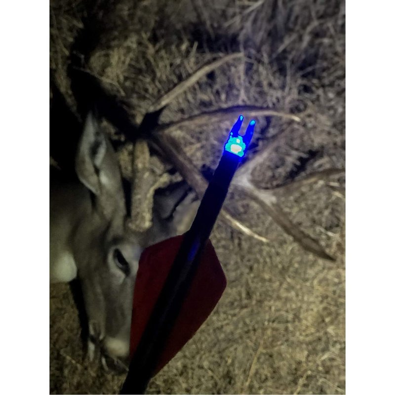 NEW Archery Products Thunderglo Compound Bow LED Illuminated Auto Turn-On Arrow Nocks - Blue (6 Pack)