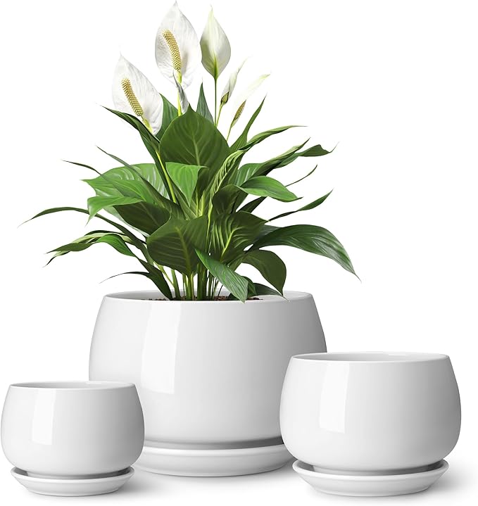 vancasso 3-Pack Ceramic Plant Pots, 3.7/4.8/6.2 Inch Indoor Planters with Saucers & Drainage Hole Planter pots for Indoor Plants and Flower, White