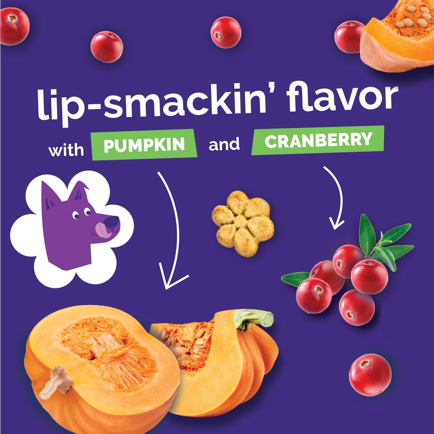 Fruitables Baked Dog Treats - Pumpkin Treats for Dogs - Healthy Low Calorie - Free of Wheat, Corn and Soy - 7 oz (Variety Pack of 4)