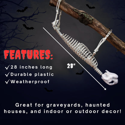Halloween Giant Sloth Animal Skeleton (2 Ft Long) with Easy-to-Hang Limb Straps - Weather Resistant Yard and Tree Decoration w Movable Joints - Perfect for Party Decor and Indoor/Outdoor Use
