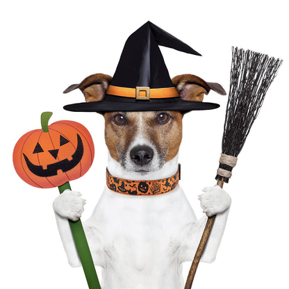 TDTOK Halloween Dog Collar, Soft Comfy Halloween Themed Pet Collar with Spooky Ghost Skull Bat Cat Witch Tree Hat Pumpkin Pattern for Small Medium Large Dogs (1 PCS)
