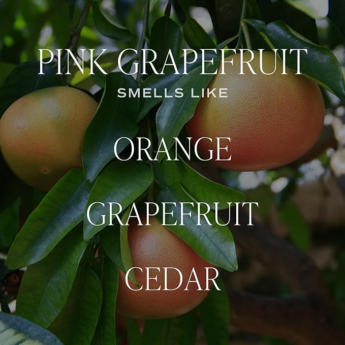 Sweet Water Decor Pink Grapefruit Scented Soy Candles – Grapefruit, Orange, Strawberry, Rose, Musk, Cedarwood – Uplifting Aroma – 50 Hour Burn – 12oz Tinted Glass Jar for Home Decor and Bedroom Decor