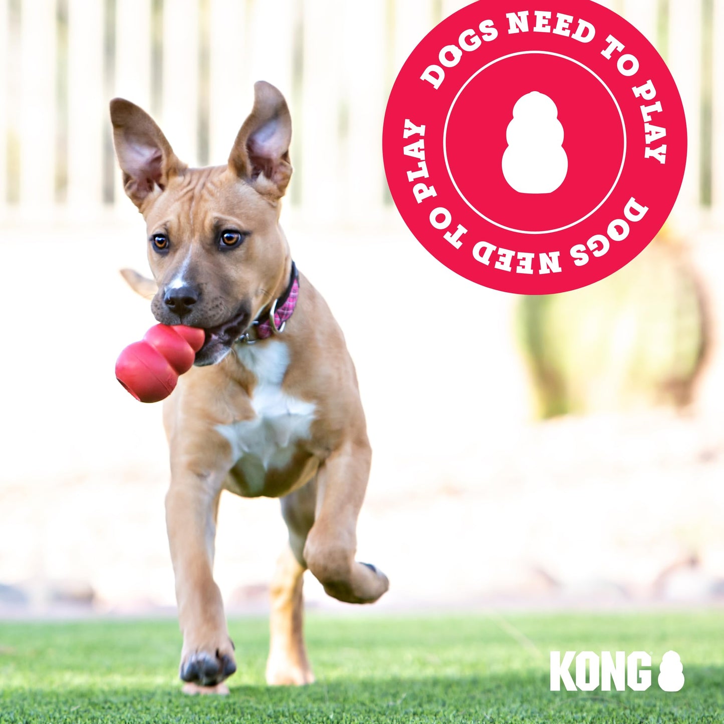 KONG Extreme Dog Toy - Fetch & Chew Toy For Power Chewers - Treat Dispenser - Durable Natural Rubber Material - For Large Dogs