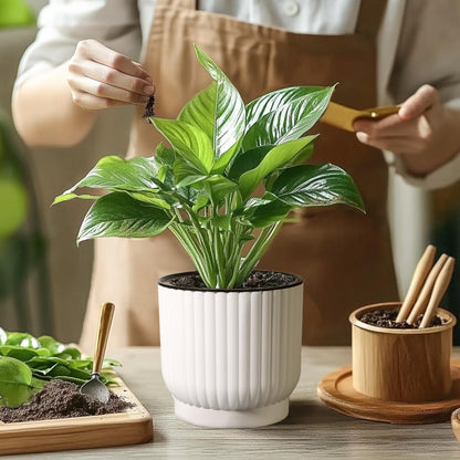 T4U 6 Inch Self Watering Pots for Indoor Plants, 6 Pack White Plastic Flower Pots for All House Plants, Flowers, African Violets