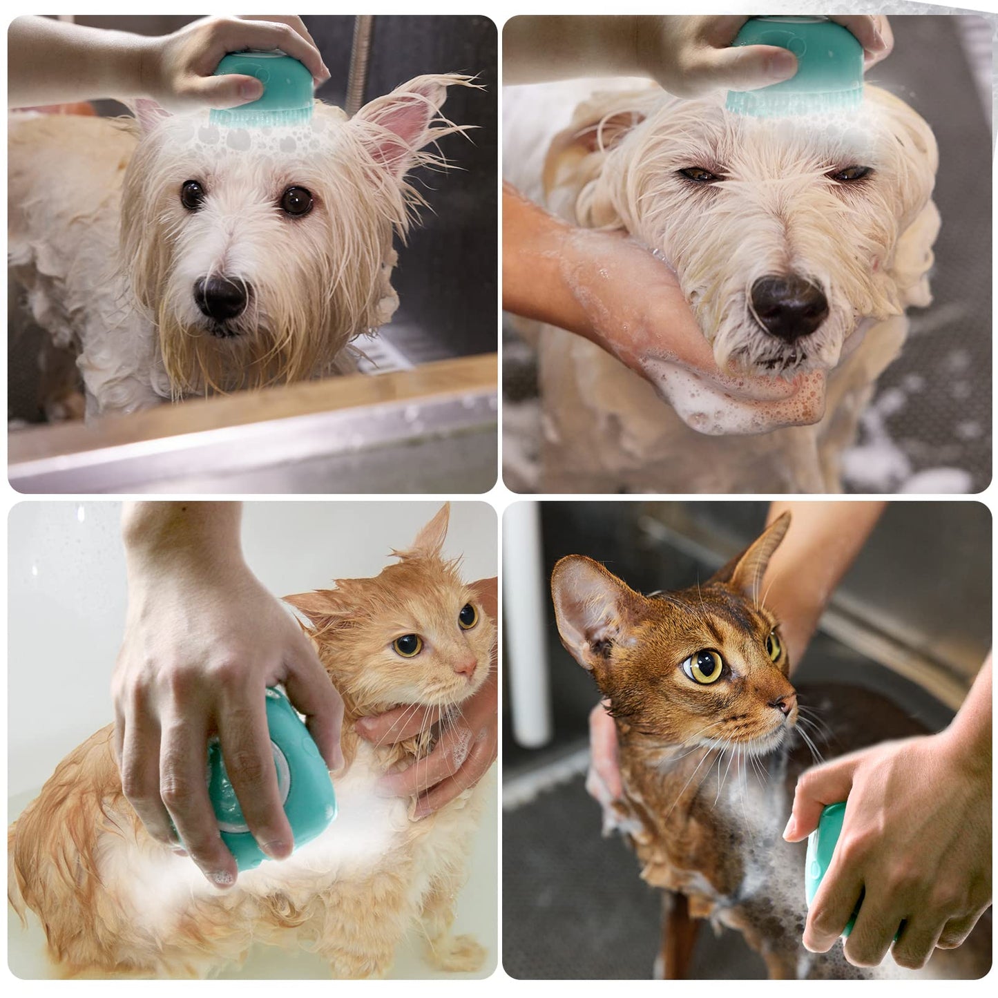 Dog Bath Brush, Pet Massage Brush Shampoo Dispenser, Soft Silicone Brush Rubber Bristle for Dogs and Cats Shower Grooming