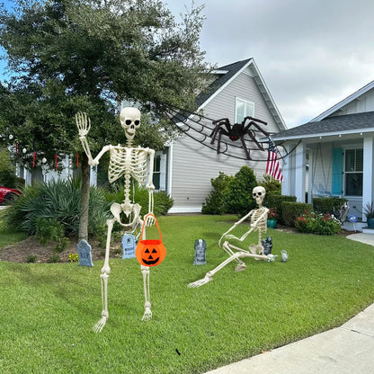 5.4ft/165cm Halloween Skeleton, Life Size Skeleton with Spider Pumpkin Bag, Full Body Human Bones with Movable Joints for Halloween Indoor Outdoor Haunted House Decorations