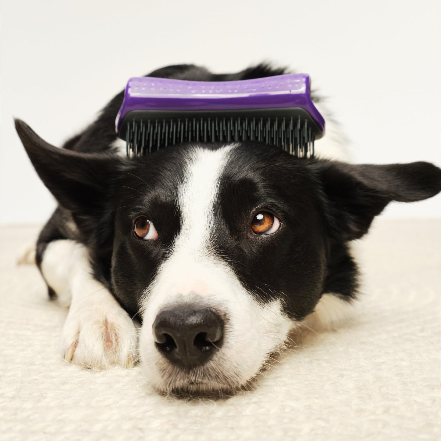Tangle Teezer | Pet Teezer | Dual-Tier De-Shedding & Grooming Brush for Dogs | Gentle Polymer Teeth | Ideal for Double-Coated Breeds | Ergonomic & Easy Clean | Purple & Grey