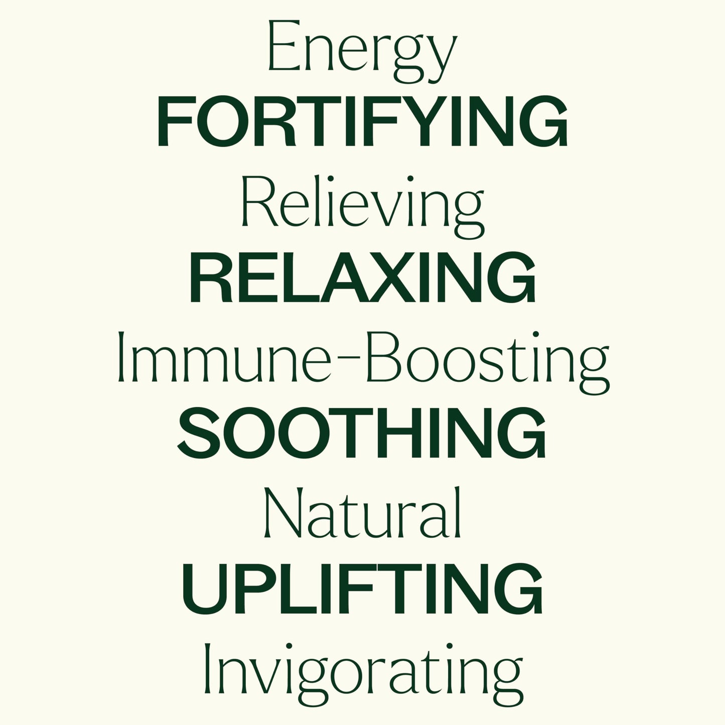 Plant Therapy Essential Oil Blends Set, Top 6 Most Popular, 100% Pure, Undiluted, Natural Aromatherapy, Therapeutic Grade, 10 mL