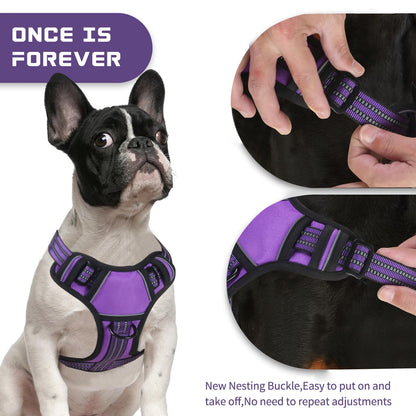 BUMBIN Dog Harness for Large Dogs, No Pull Adjustable No Choke Pet Vest with Dog Leash Fit Smart Reflective Pet Walking Harness for Training Easy Control Soft Handle Purple M