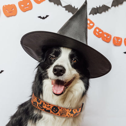 TDTOK Halloween Dog Collar, Soft Comfy Halloween Themed Pet Collar with Spooky Ghost Skull Bat Cat Witch Tree Hat Pumpkin Pattern for Small Medium Large Dogs (1 PCS)