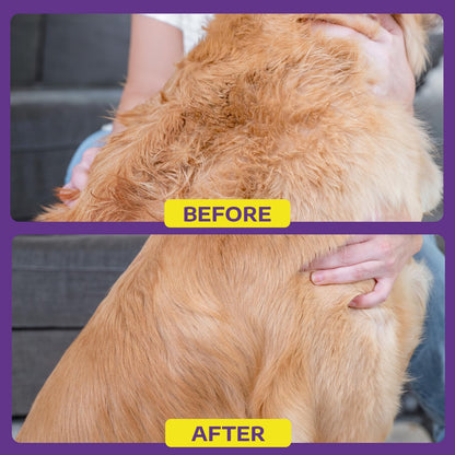 Hertzko Cat and Dog Dematting Tools Single Sided Dog and Cat Dematting Comb - for All Pets - Effortlessly Removes Tangles, Mats, and Loose Fur - Safe, Easy Grooming for Cats and Dog - Large