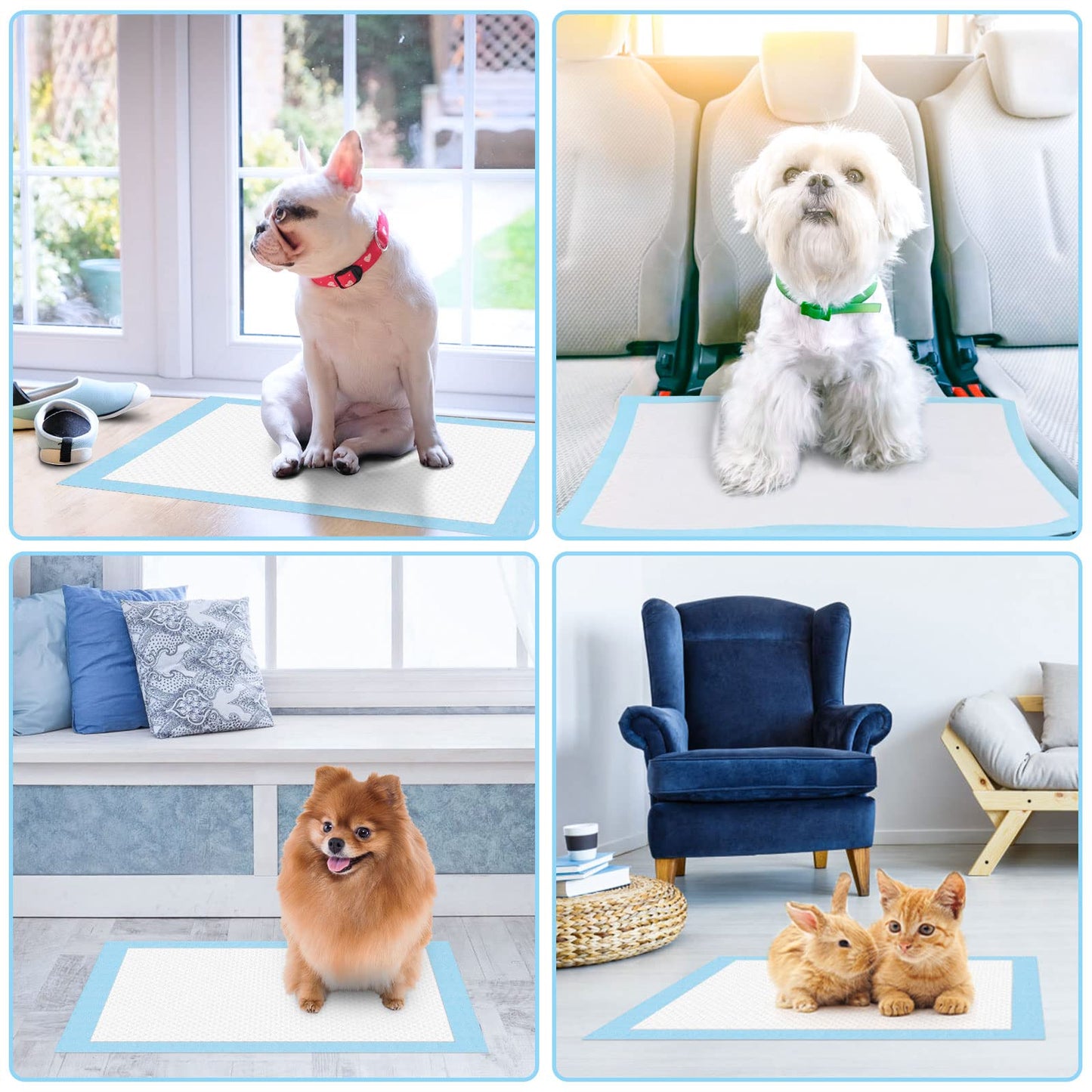 RCruning-EU 100 PACK Puppy Training Pads for Dog Pet Pee Absorbent Toilet Pee Wee Mat Anti Slip Leakproof (100 PACK-45 * 33CM)