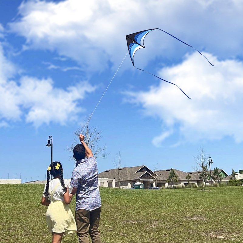 Mint's Colorful Life 3 Pack Delta Kites for Kids & Adults, Extremely Easy to Fly Kite, Best Kite for Beginner(Green & Rainbow & Blue)