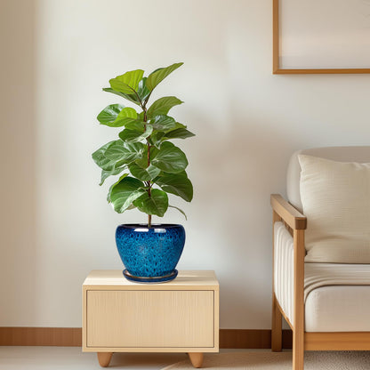 Ceramic Modern Glaze Succulent Planter Pot with Drainage Hole and Saucer 6 Inch Round Flower Plant Pot for Indoor Outdoor Herb Snake Plants