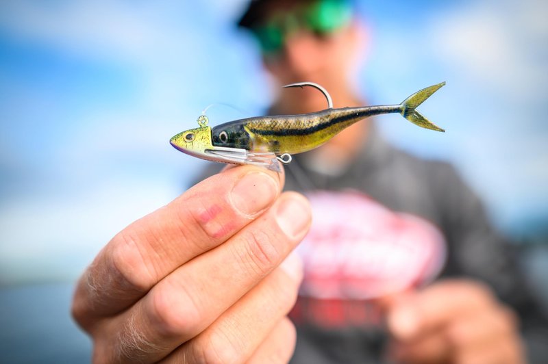 Berkley PowerBait The Champ Minnow Fishing Bait, HD Emerald Shiner, 2.5in, Irresistible Scent and Flavor, Ideal for Bass and Walleye