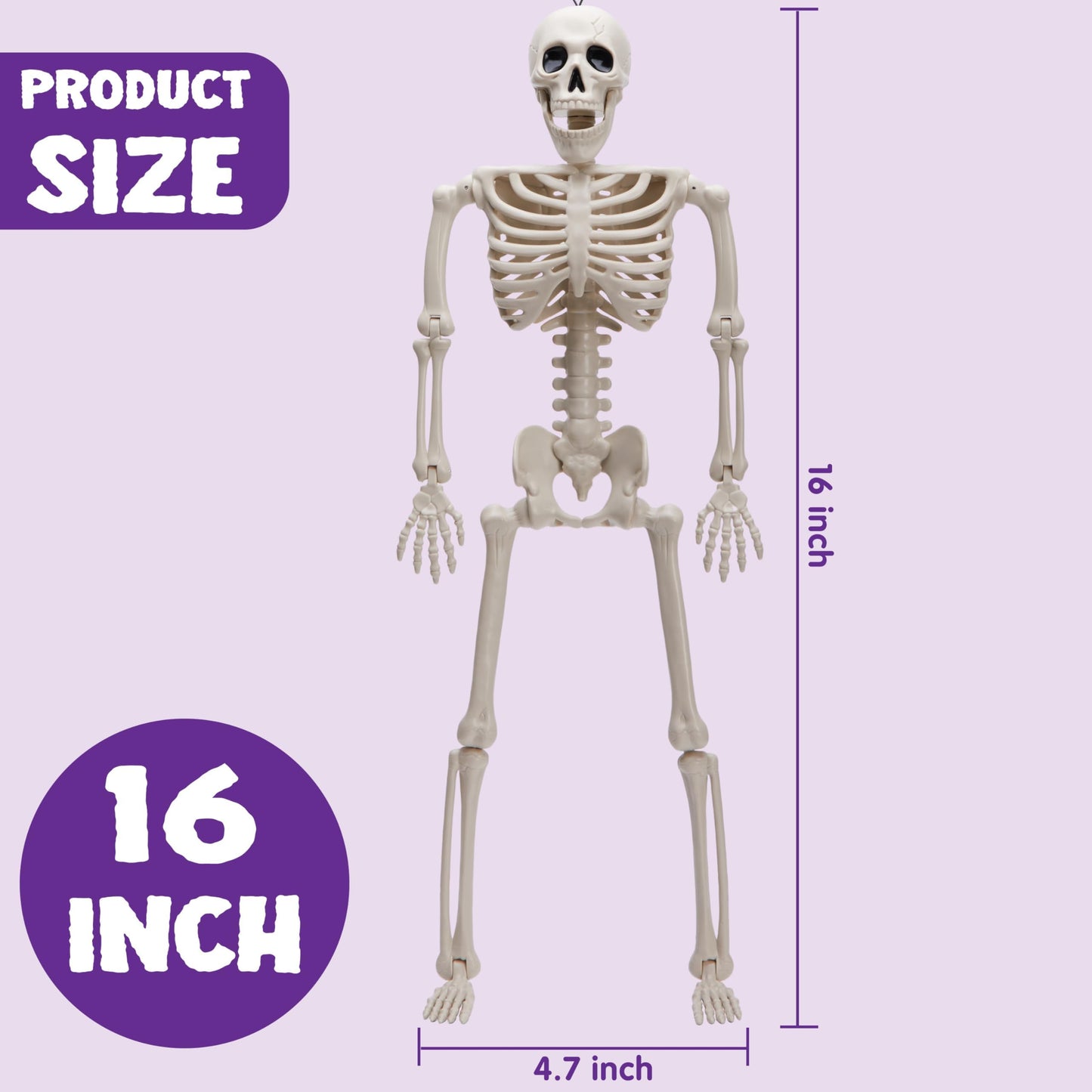 JOYIN 2PCS 16" Halloween Skeleton Decor, Full Body Stayable Movable Joints, Posable Hanging Skeletons for Halloween Decoration, Yard, Graveyard, Haunted House Props, Spooky Scene Party Favor