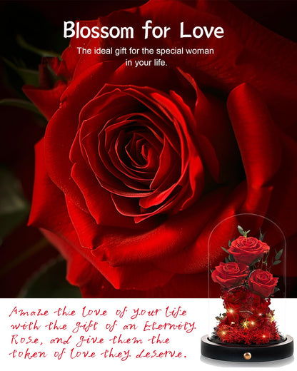 Valentines Day Flowers Roses Gifts for Her,Forever Real Preserved Roses in Glass Dome,Valentines Day Anniversary Birthday Gifts for Wife Girlfriend Women Mom Best Friend Her/Purple Rose