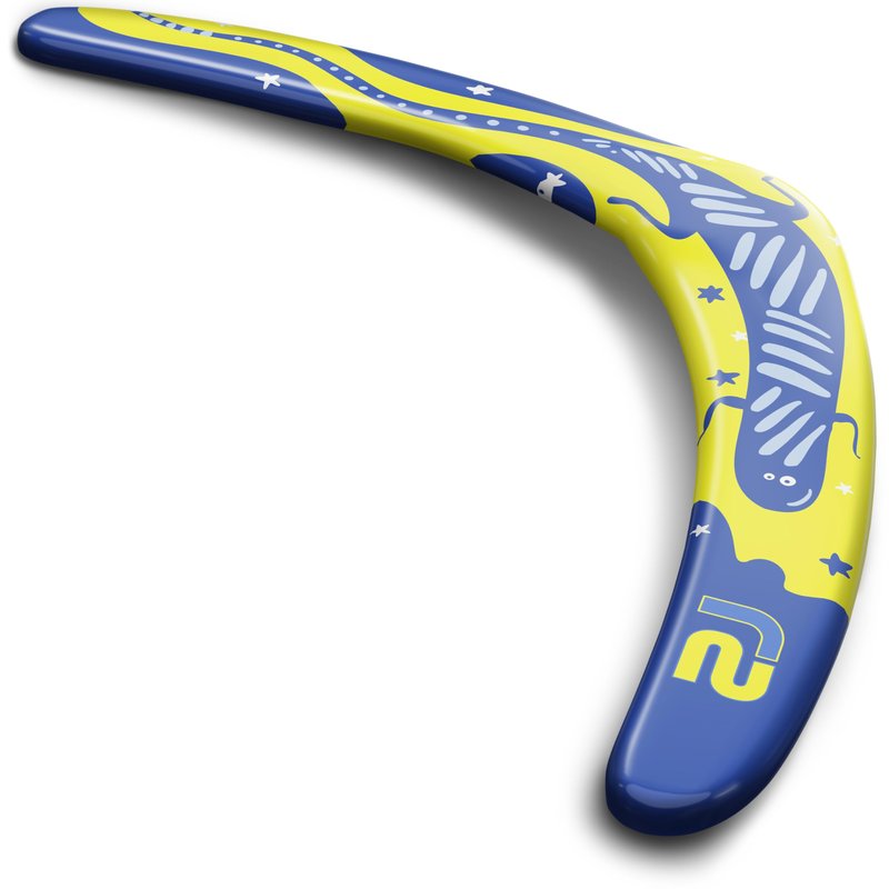 Refresh Sports Boomerang for Adults & Kids