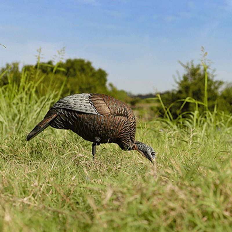 Ultra Realistic Turkey Decoy - Lightweight Plastic Thunder Chicken for Outdoor Hunting | Lifelike Feeding Hen