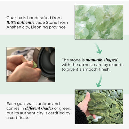 PLANTIFIQUE Jade Roller & Gua Sha Set – Real Jade Facial Tools for Skin Care Routine – Certified Face Massager for Radiant Skin