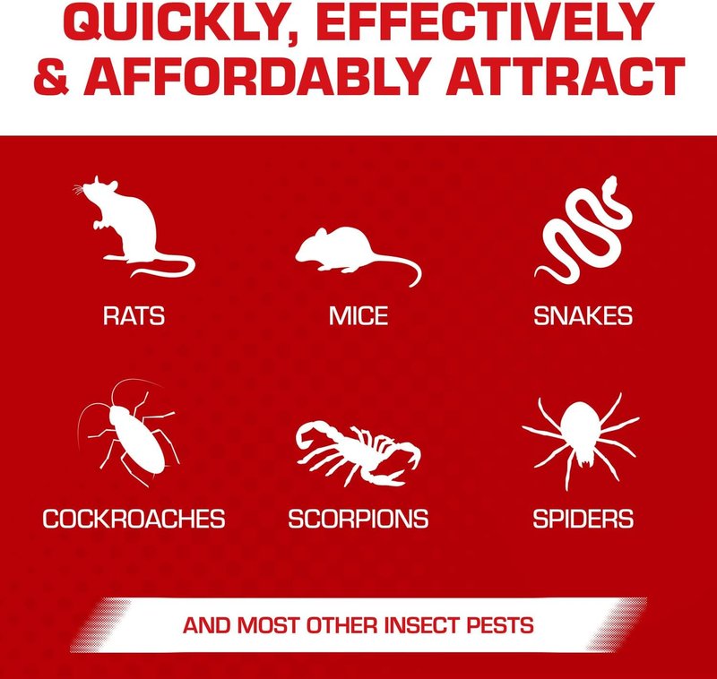 Tomcat Super Hold Glue Traps - Effective Rat & Mouse Control | Ready-to-Use, 2 Traps