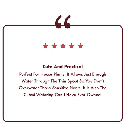 Homarden 30 oz. Copper Watering Can - Long Spout Metal Can for Indoor & Outdoor Plants