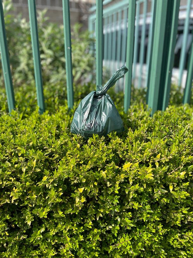 Panmer Poo Bio Bags Biodegradable Dog Poop Bags Waste Bags x 500 Eco Friendly Bulk Buy Human's Other Best Friend