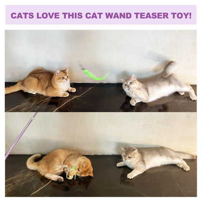 11PCS Cat Wand Toy, Cat Interactive Toys for Indoor Cats, 2 Retractable Cat Wand, 7 Worm Cat Teaser Toys and 1 Plush Fish Cat Toy, Cat Feather Toys for Play Chase Exercise with Kitten, Extra 1 Line