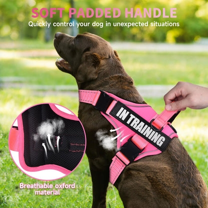 Dog Vest Harness and Leash Set, Animire Reflective Service Dog Vest with 10 Patches, 3 Rings No Choke Pet Vest for Leash Placement, in Training Dog Harness for Small Medium Large Dogs(Hot Pink,XS)