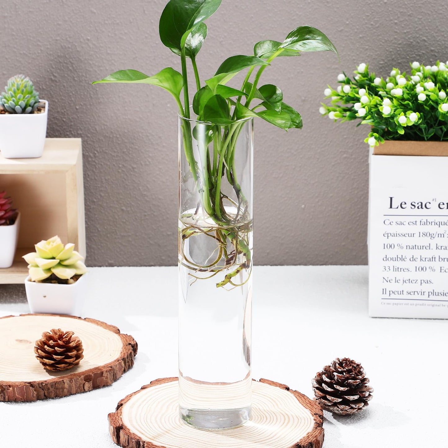 FOMIYES Wall Hanging Glass Planter Vase Set, 2pcs Large Cylinder Glass Wall Vases for Indoor Plants, Hydroponic Propagation Station and Terrarium Flower Holders, Home Décor
