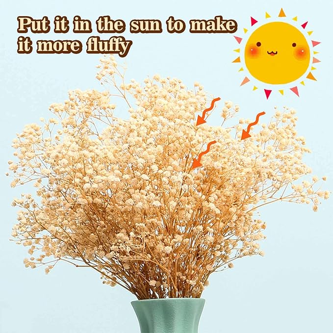 Babys Breath Dried Flowers Bouquet-17'' 2000+ Dry Flowers, Natural Gypsophila Branches for Wedding, Home Table Vase Decor, DIY Wreath Floral, Fall Thanksgiving Autumn Decoration (Ivory White, 2oz)