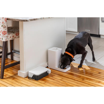 APC UPS Battery Backup & Surge Protector, 500VA UPS with 4 Backup Battery Outlets, Type C USB Charging, BE500G3 Back-UPS