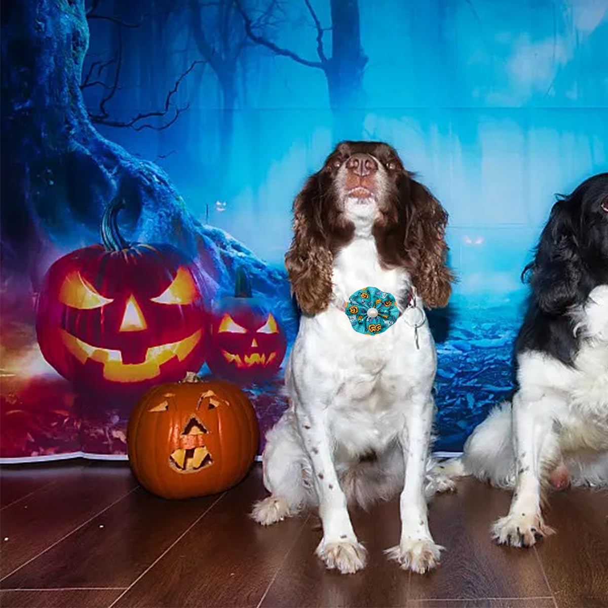 JpGdn 12pcs Halloween Dog Collar Flowers Bows Attachment Sliding for Medium Large XL Puppy Cats Rabbit Party Holiday Grooming Cosume Accessories