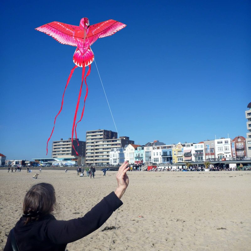 Mint’s Colorful Life Pink Kite for Kids Adults, Large Flamingo Bird Kite Easy to Fly Beach Kites