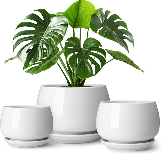 vancasso 3-Pack Ceramic Plant Pots, 7.3/9.6/11.6 Inch Indoor Planters with Saucers & Drainage Hole Planter pots for Indoor Plants and Flower, White