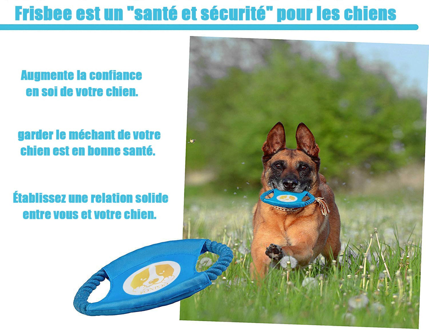 FONPOO Dog Toys Avoiding Dogs Boredom Anxiety Puppy Toys for Small&Medium Dog Rope Toy Birthday Gift Sets (Blue, Set of 10)