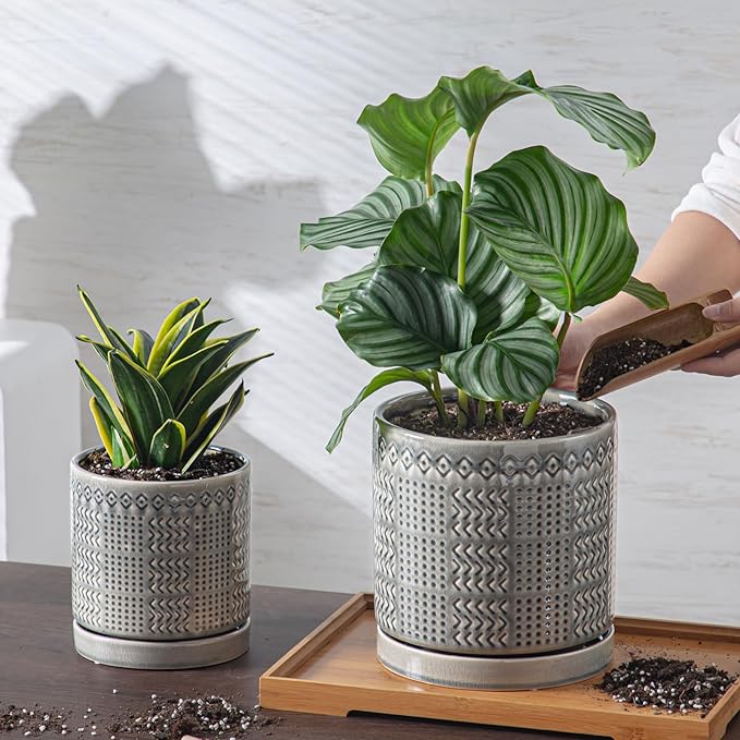 Indoor-Outdoor Ceramic Plant Pots: 8 Inch Flower Pots with Drainage Hole & Saucer - Decorative Ceramic Pots for Plants Herbs Succulents - Home Garden Patio Lawn Use (Grey)