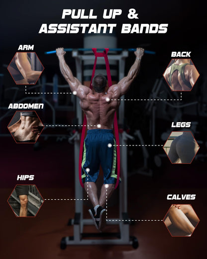 Fitense Resistance Bands Set - Pull Up Bands with 6 Resistance Levels 15-170 LBS for Men Women, Exercise Bands with Door Anchor, Training Poster & Pouch for Body Stretching, Pull Up Assist