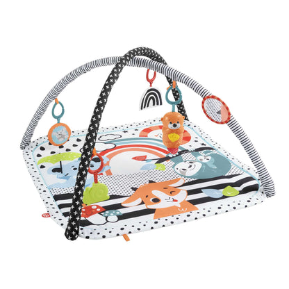 Fisher-Price Glow & Grow Gym Baby Play Mat, Baby Gym Play Mat for Newborn to 3 Year Old with Light Up Musical Otter, Toys and Comfy Baby Mats for Floor Play, Playmats & Floor Gyms Baby Toys, HBP41