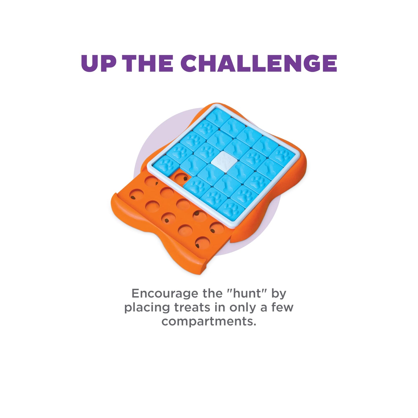 Nina Ottosson by Outward Hound Challenge Slider Interactive Treat Puzzle Dog Toy, Advanced