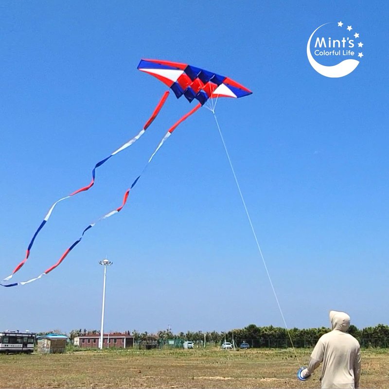 Beach Kites for Adults Large with Long Tail, 98 inches Super Easy Flyer 3D Rainbow Box Kites, Come with 49 Feet Multi Colors Tails x 2, 300 ft Kite String & Handle (Red, White & Blue)