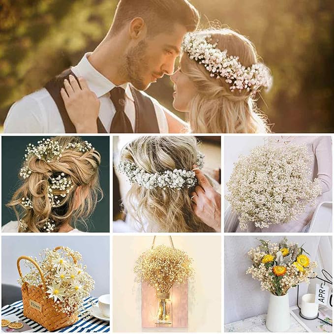 Babys Breath Dried Flowers Bouquet-17'' 3000+ Dry Flowers, Natural Gypsophila Branches for Wedding, Home Table Vase Decor, DIY Wreath Floral, Fall Thanksgiving Autumn Decoration (Ivory White, 3oz)