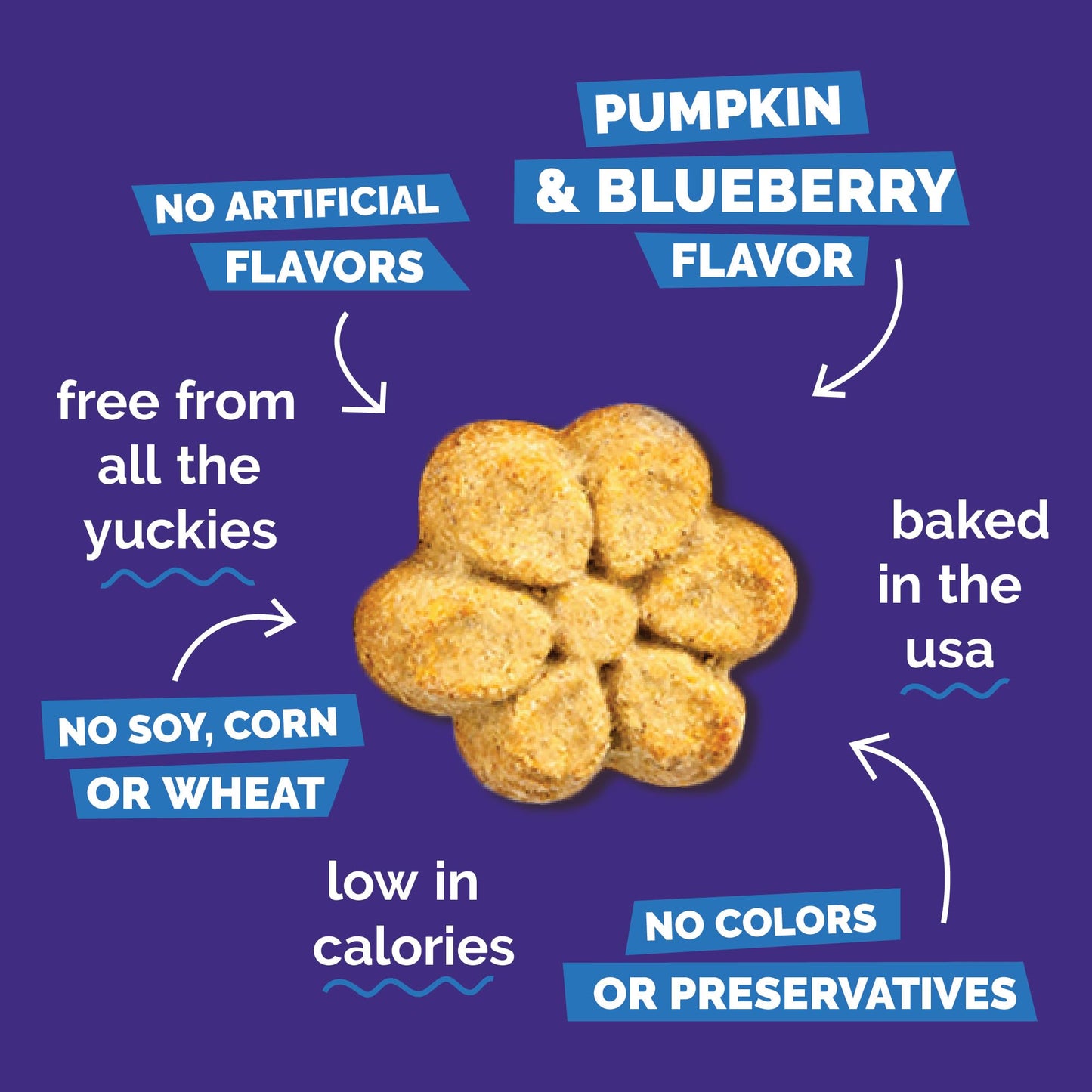 Fruitables Baked Dog Treats, Healthy Pumpkin Treat for Dogs, Low Calorie & Delicious, Free of Wheat, Corn and Soy, Made in The USA, Pumpkin and Blueberry Flavor, 20oz