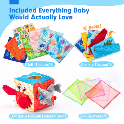 hahaland Baby Tissue Box Toy - Baby Toys 6-12 Months Montessori Toys for 6 Month Old with Textured Tails, Cloth Tissues, Crinkle, Squeaky Sounds, Mirror - Gifts Play Silks Sensoy Scarves for Babies