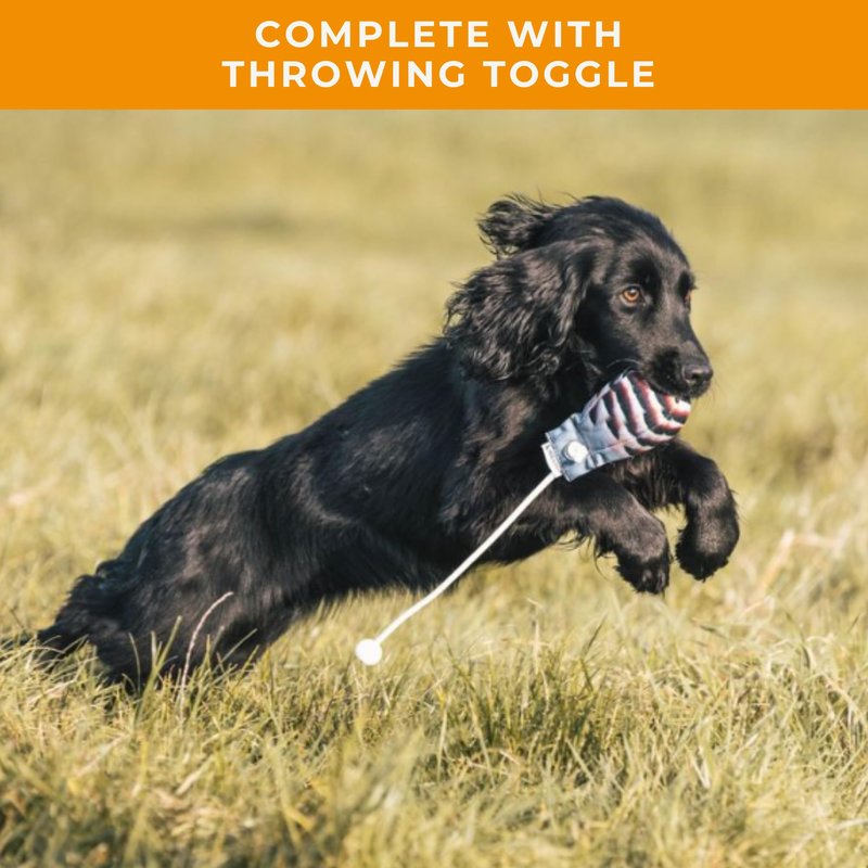 The Original Clone® Realistic Game Bird Dog Training Dummy - Canvas Dummy with HD Feather Print for Gundog & Puppy Training - Dog Hunting Equipment (Hen Pheasant Launcher Dummy)