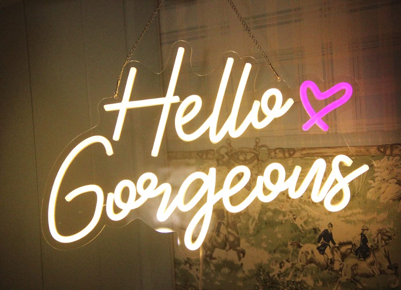 Hello Gorgeous Neon Sign Hello Beautiful Pink LED Neon Lights for Home Wedding Birthday Backdrop Bacelorette Party Wth Dimmable Switch(5V,16.5X10.6inches)