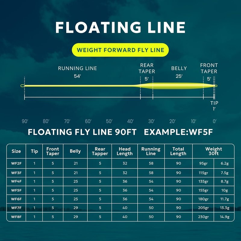 Fly Fishing Line - Weight Forward Floating Lines with Two Welded Loops | 90FT Multi-Color for Trout (WF2-9F)