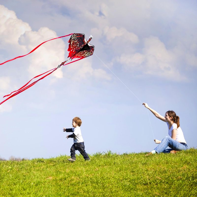 Mint's Colorful Life Dragon Kite for Kids & Adults, Easy to Fly Kites for Beginners, Large Single Line Kite for Beach Trip with 300ft String(Red)